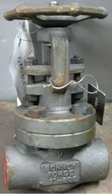 QTY. 1. BONNEY FORGE 1" 800 SOCKET WELD A105 GATE ...