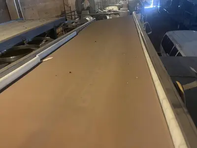 10ft Adjustable Flat Belt Conveyor