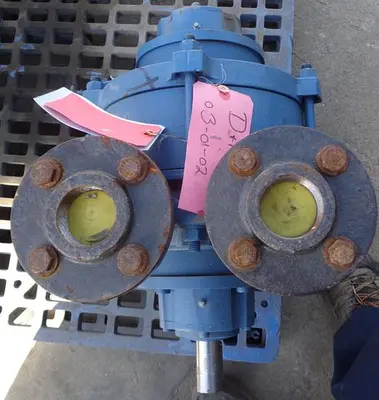 Pump, Vacuum, 15 HP, Liquid Ring, Travaini, 150 CFM #S743028