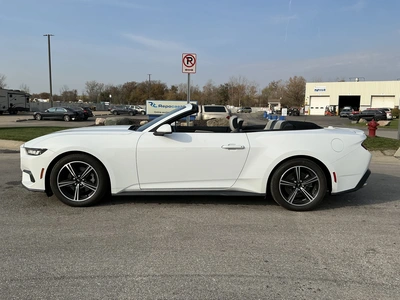 Used 2024 FORD MUSTANG Cars Michigan US | Miedema Asset Management Group #1579884