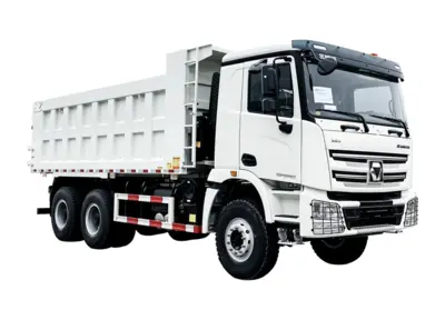 XCMG GLOBAL XGA3251D2WC Dump truck | Iron Listing (1)