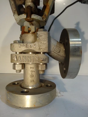 Annin 1", Class 600, CF8M Control Valve