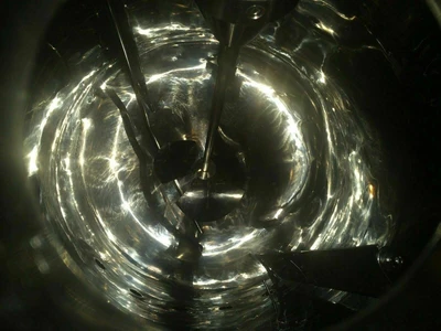 LSL BioLafitte Does Not Apply Bioreactors & Fermenters | Amiron Machinery (10)