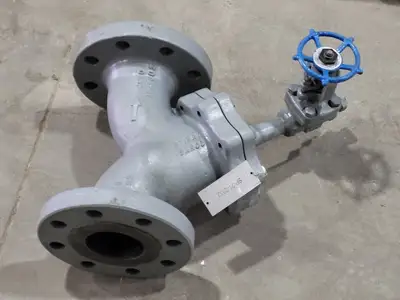 3" Fig 34 Y-Type Strainer w/ 3/4" Class 800 Gate Valve C-2054B-02TY