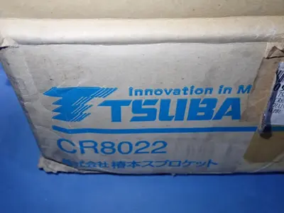 Tsubaki Couplings