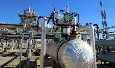 USED 2009 PRECISION PIPE & VESSEL TEMA NEN