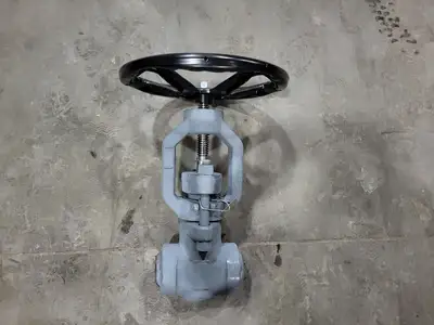2" Class 900 Globe Valve B16.34
