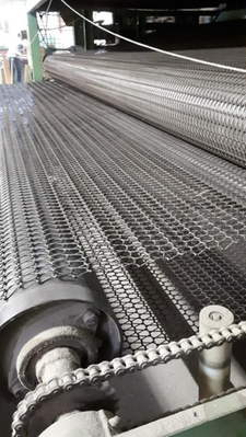 Fezer Wood Veneer Screen Dryer, Infeed and Outfeed