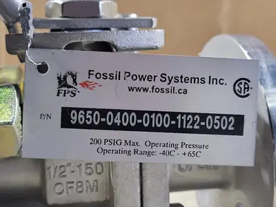 NEW FOSSIL POWER SYSTEMS 9650-0400-0100-1122-0502