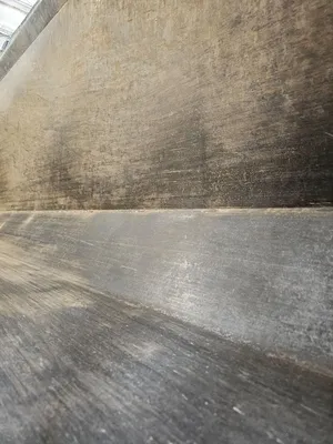 2007 Western star 4900 Commercial trucks | Iron Listing (33)