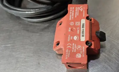 Schmersal TESZ1102/30 Hinged Interlock Switch (BIN744)