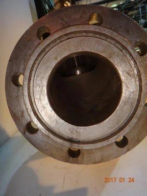 Annin 4", Class 300, 316SS, Control Valve