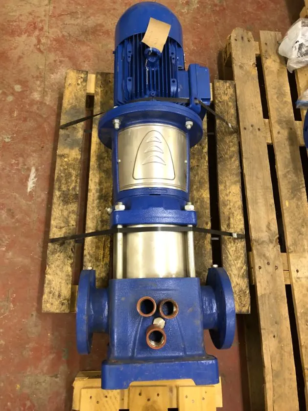 " X " GPM Lowara Stainless Steel Multistage Centrifugal Pump