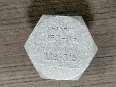 1-1/2" Hex Head Threaded Plug 150 - 1 1/2 MB-316 (Bag of 9)