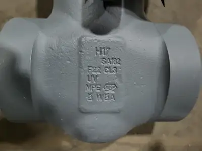 2" Class 900 Globe Valve B16.34