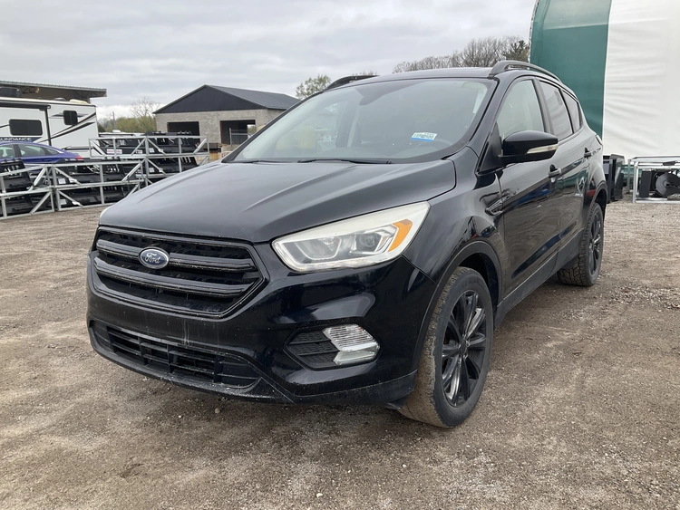 Used 2017 FORD ESCAPE Vans Michigan US | Miedema Asset Management Group #1183645