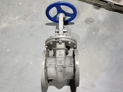 Used DSI VALVES API 603 Valves/Fittings British Columbia CA | Lenmark #914829