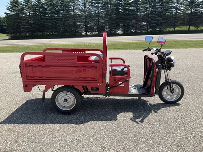 Used 2026 SDLANCH ET13 Utility Vehicles Michigan US | Miedema Asset Management Group #1324287
