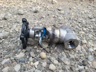 2019 3/4" Class 800 Gate Valve API 602