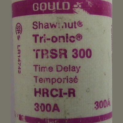 Gould 300 Amp Type D Fuse