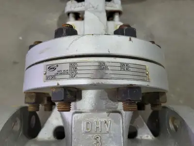 3" Class 300 Gate Valve B16.34