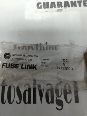 New | in-Stock WESTINGHOUSE FL15N100 Fuses | Surplus Asset Holdings #1226550