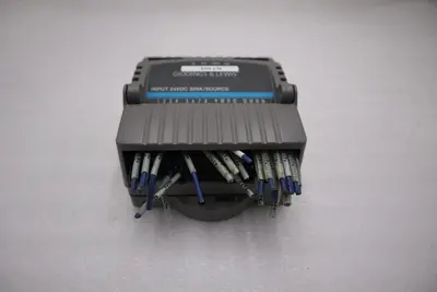 Giddings & Lewis M.1300.7372 R1 Input Module 24VDC SINK/SOURCE STOCK 5169A