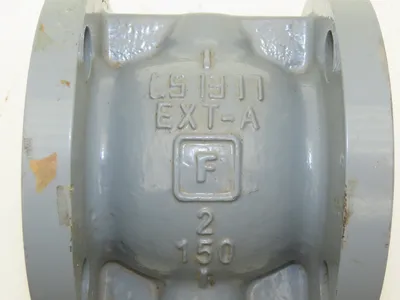 LS 1317 EXT-A Flanged Steel Pipe Adapter 2" Pipe x 2-1/2" Threaded 4-Bolt #150