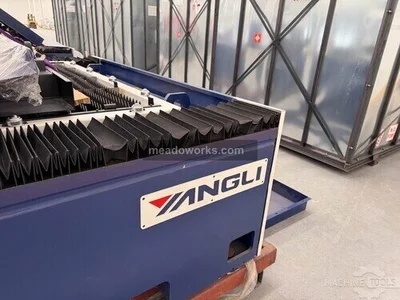 Used 2021 YANGLI BL3015F-10 Laser Cutters MX | Meadoworks #1498329