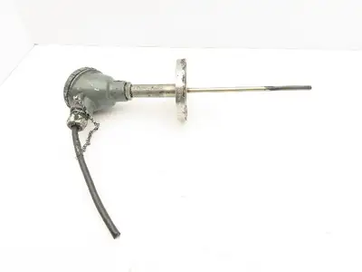 Yokogawa RN21 Resistance Temperature Sensor Stainless Flange