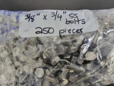 THE 3/8" x 3/4" F593G316 Stainless Steel Hex Bolt (Bag of 250)