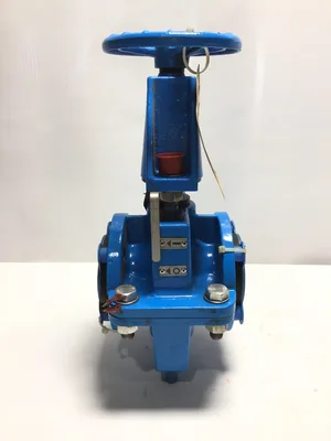 RF Valve BE2-M150-553X Pinch Valve