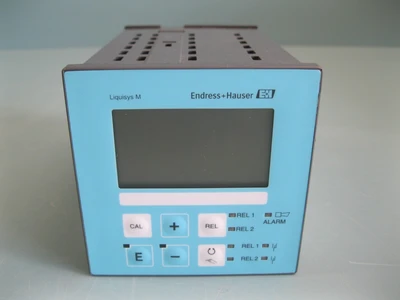 NEW Endress Hauser CLS54-ACS1212