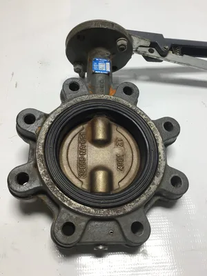 Milwaukee Valve CL223ED-38055-NA-C91 Butterfly Valve