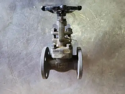 1" Class 150 Globe Valve (Standard)