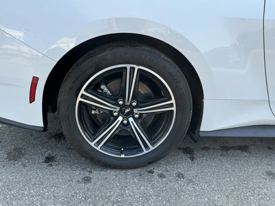 Used 2024 FORD MUSTANG Cars Michigan US | Miedema Asset Management Group #1579884