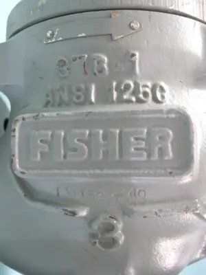 NEW Fisher 1098-EGR