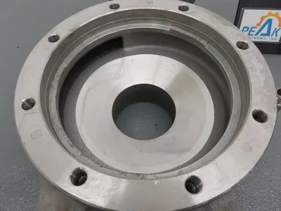 USED Goulds 3196