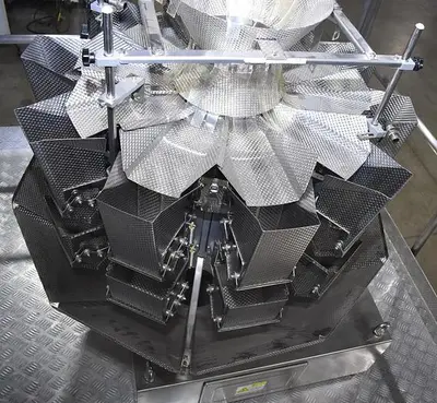 Apai bagger with 10 head scale
