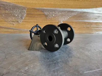 3/4" Class 150 Gate Valve B16.34