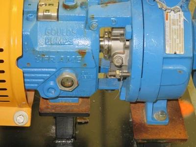 USED Goulds 3196 STi