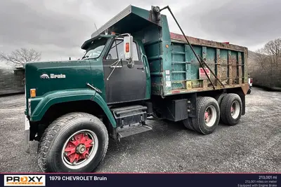 Used 1979 CHEVROLET BRUIN Dump trucks Pennsylvania US | Proxy Equipment #1377853