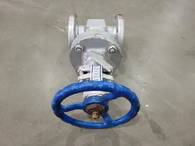 2" Class 150 Gate Valve B16.34