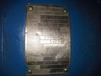 USED Goulds 3175