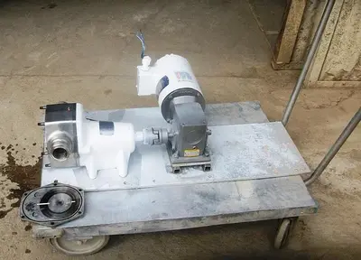 Pump, Positive, Sta-Rite, S/st, 1 HP, 2" #S741950