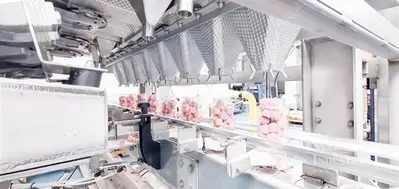 Used _UNKNOWN_ _UNKNOWN_ Solid Dose Bottling Complete Packaging Lines California US | Star Industries #1254918