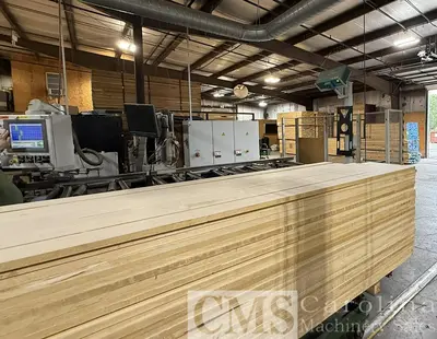 Used 2006 RAIMANN KR450M GANG RIP SAW WITH VALUERIP 4 INFEED Rip Saws North Carolina US | CAROLINA MACHINERY SALES #1318340