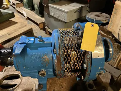 USED GOULDS 3196