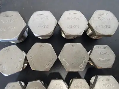 Assorted 1/2" - 1-1/2" Plugs MPT MB-316/ KI-316/SP-114 (Bag of 17)