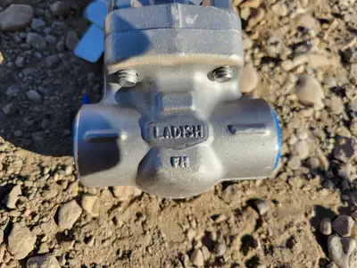 3/4" Class 800 Gate Valve B16.34